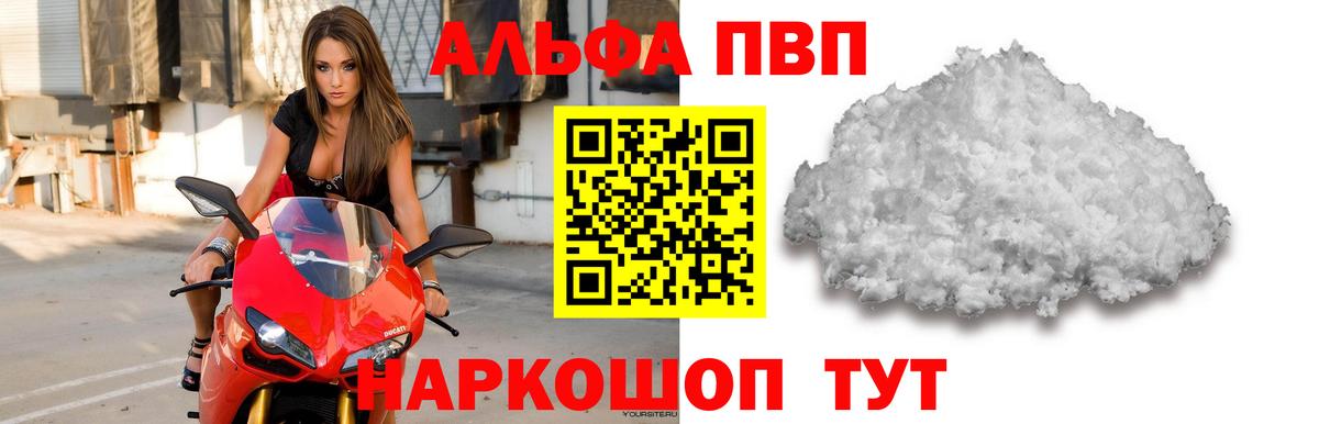 Альфа ПВП СК КРИС Славянск-на-Кубани