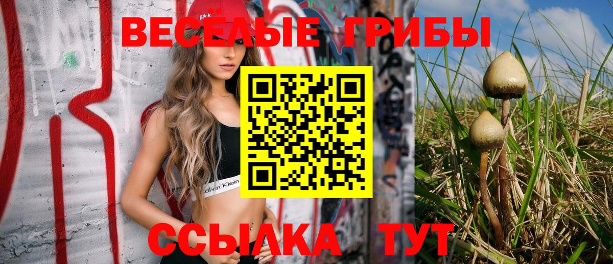 Псилоцибиновые грибы Psilocybine cubensis Славянск-на-Кубани