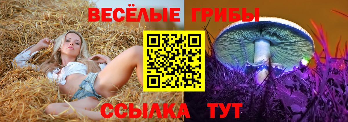 Галлюциногенные грибы Cubensis  Вход с VPN  Славянск-на-Кубани  Галлюциногенные грибы Psilocybine cubensis 